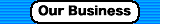 Our Business